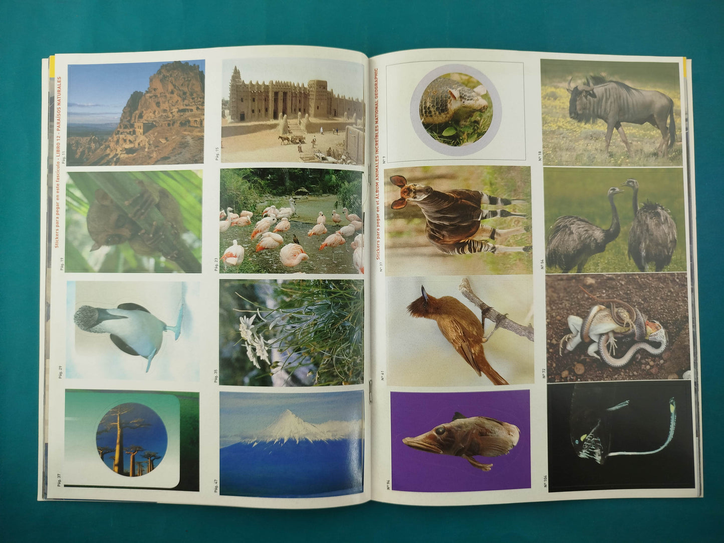 Mi primera enciclopedia Paraísos naturales