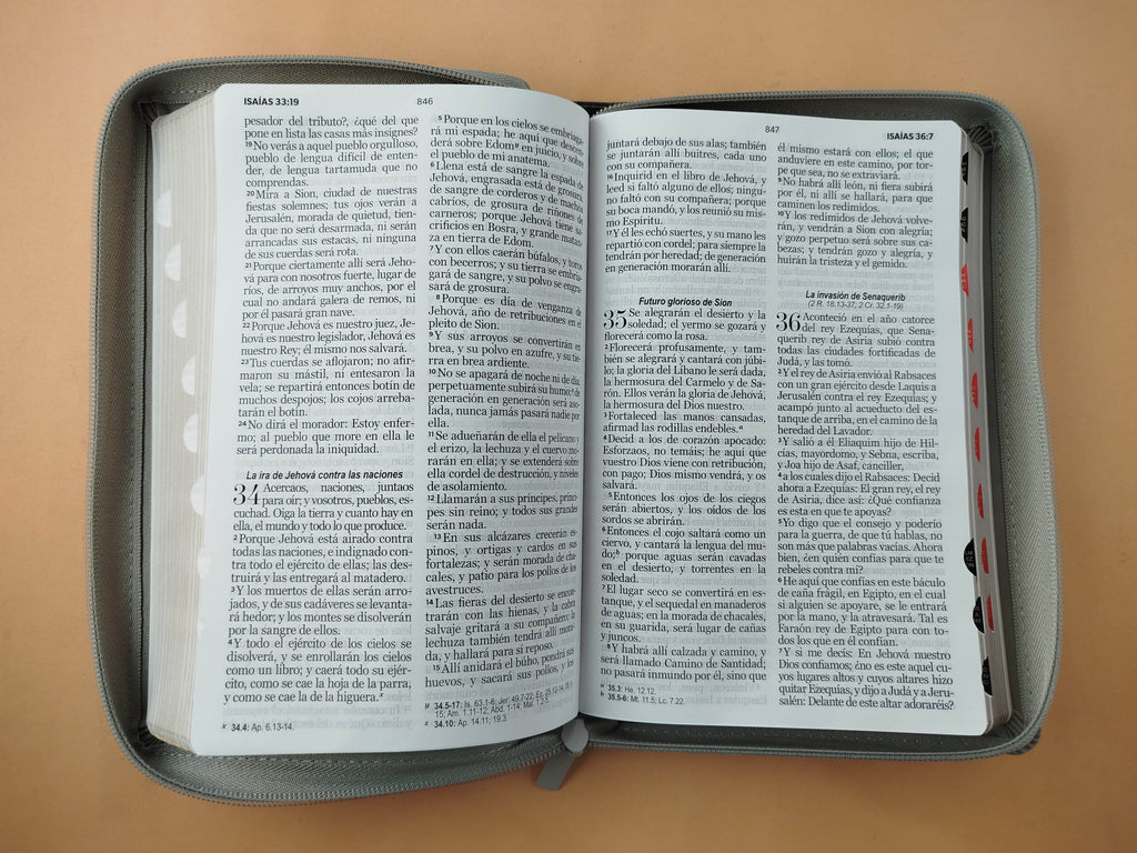 Biblia rvr 1960 bitono negra-gris letra grande con cierre e índice by Reina Valera 1960