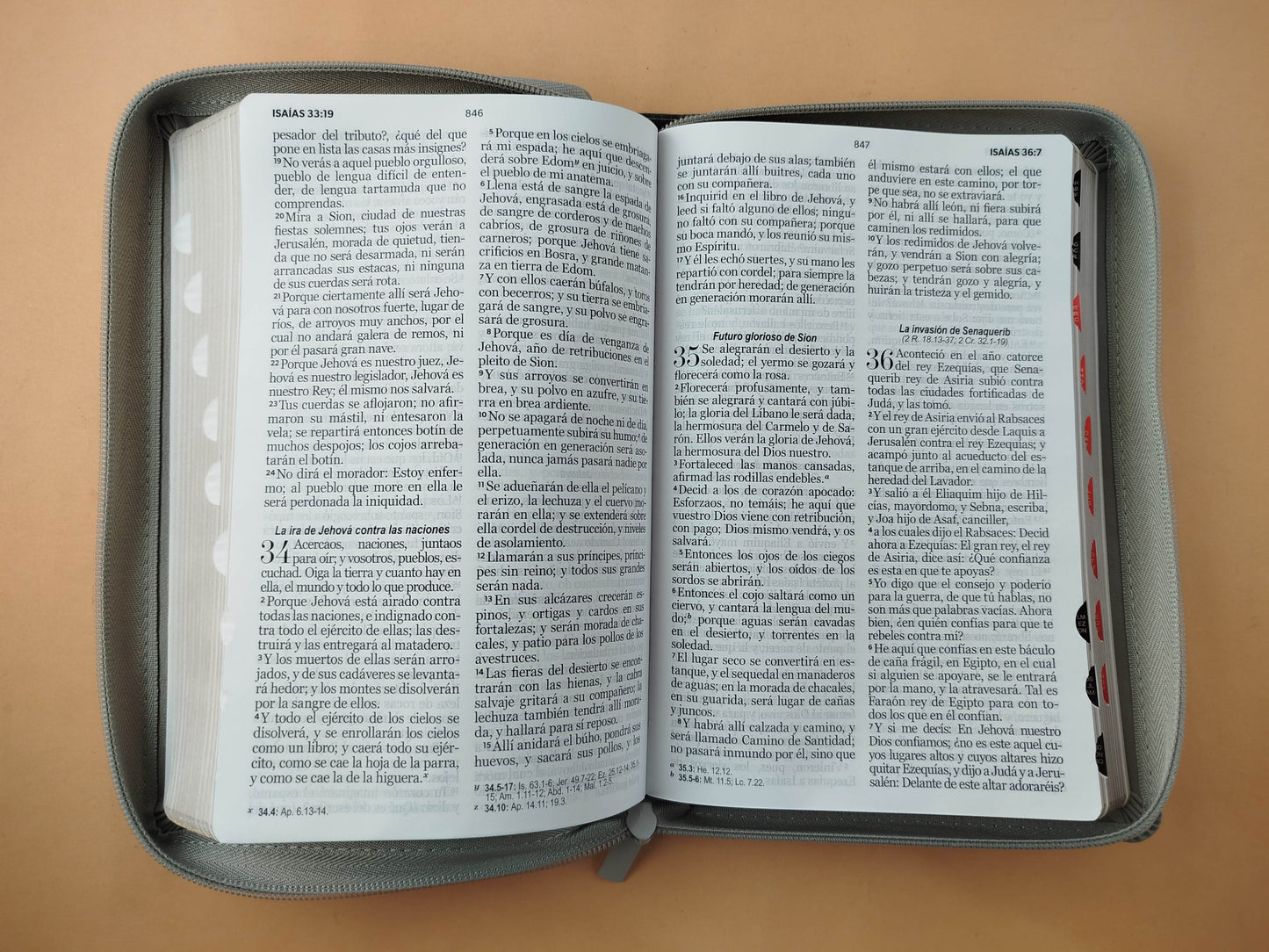 Biblia rvr 1960 bitono negra-gris letra grande con cierre e índice