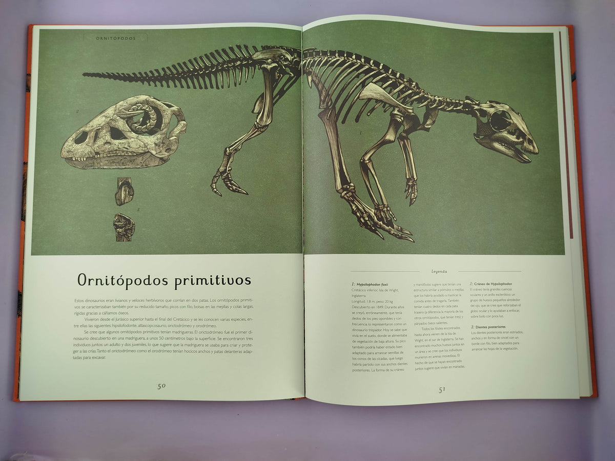 Dinosaurium by Lily Murray
