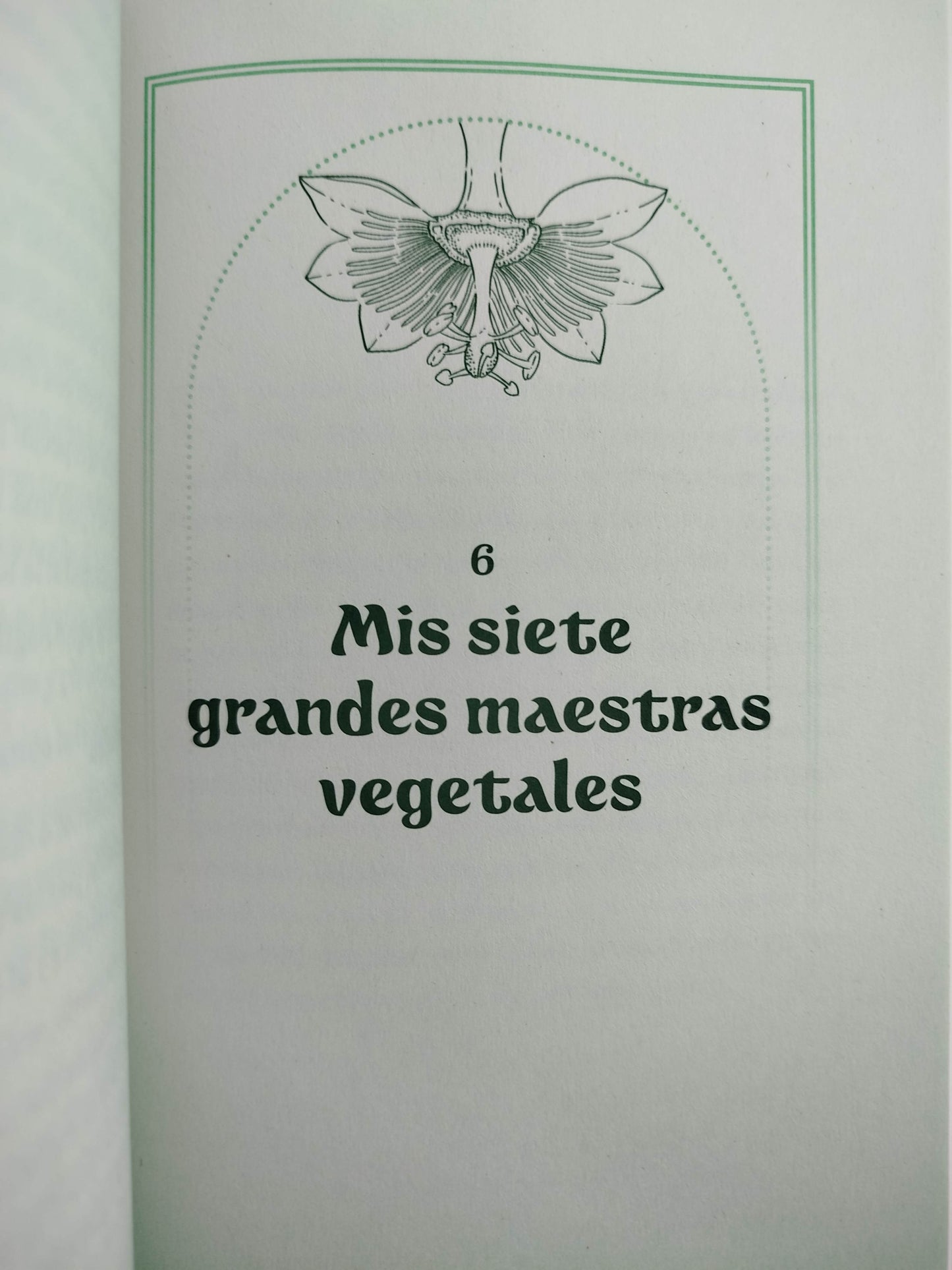 El mensaje de las plantas by Andrea Medina