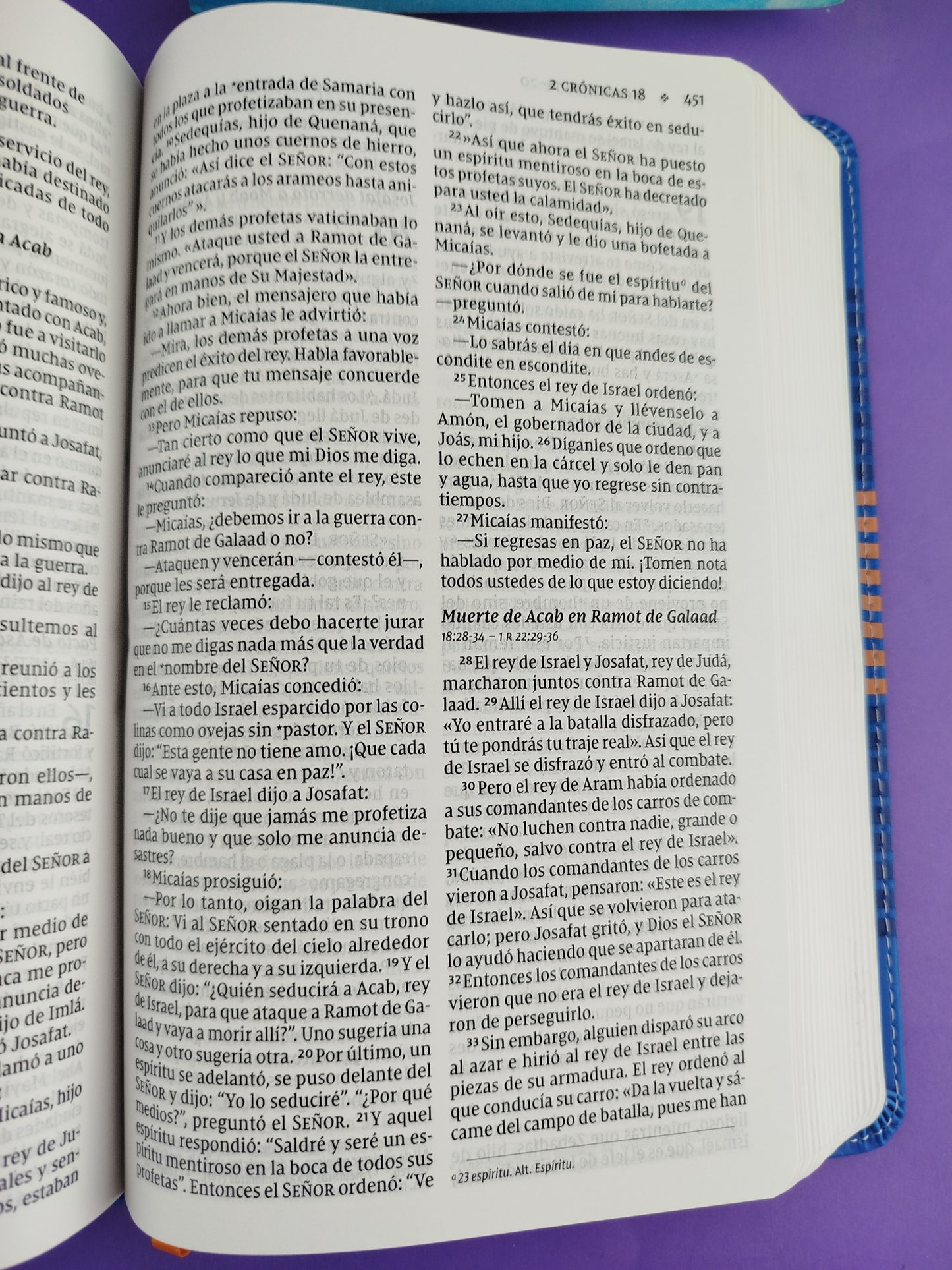 Biblia para niños nvi azul letra grande revisión 2022