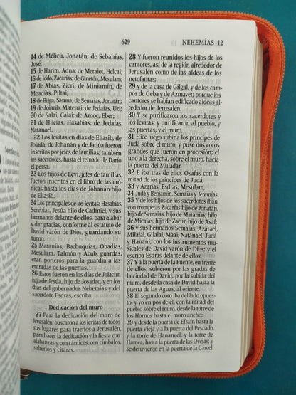 Biblia troquelada cosida naranja beige