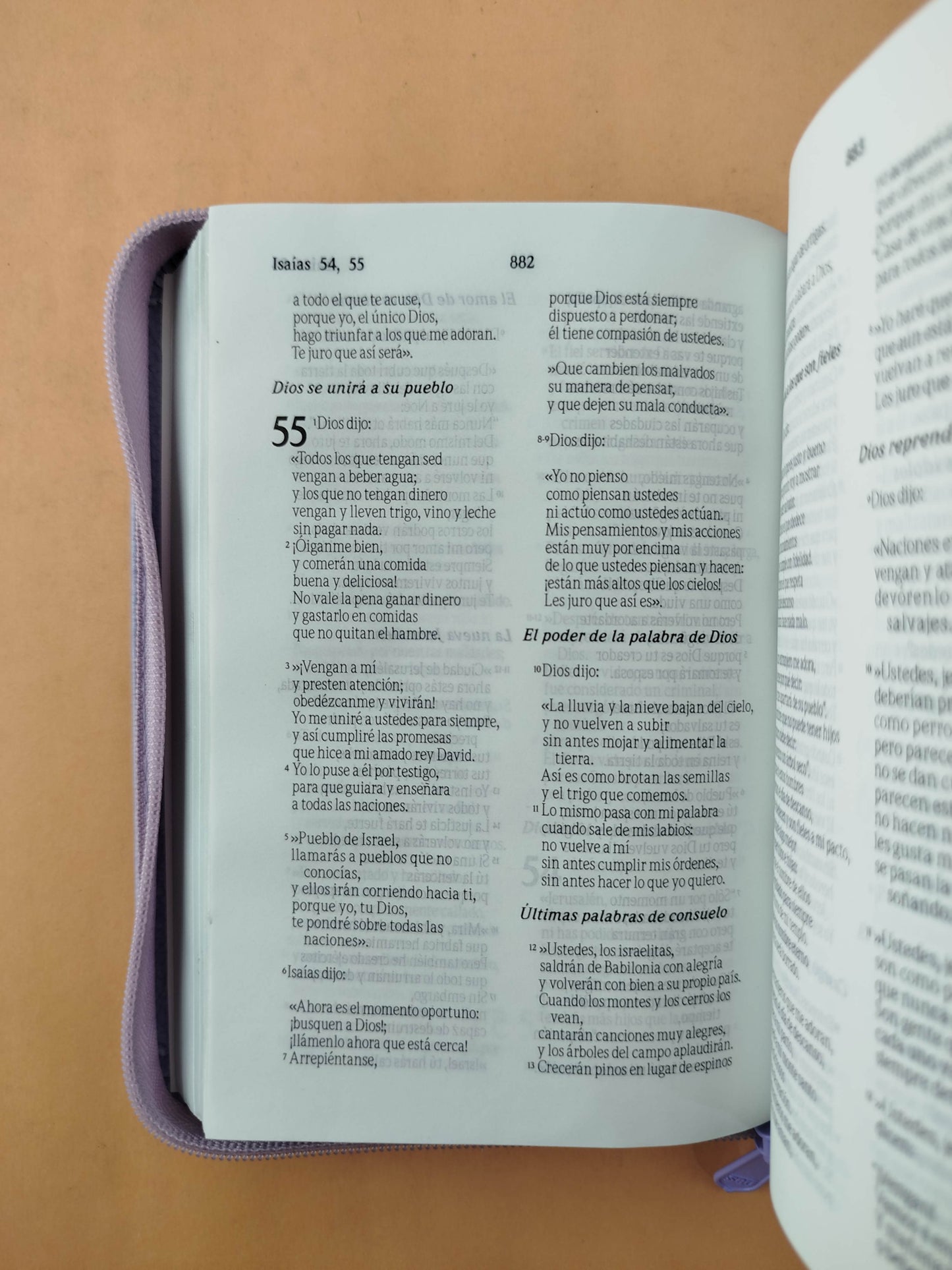 Biblia tla lila con estuche borde platiado