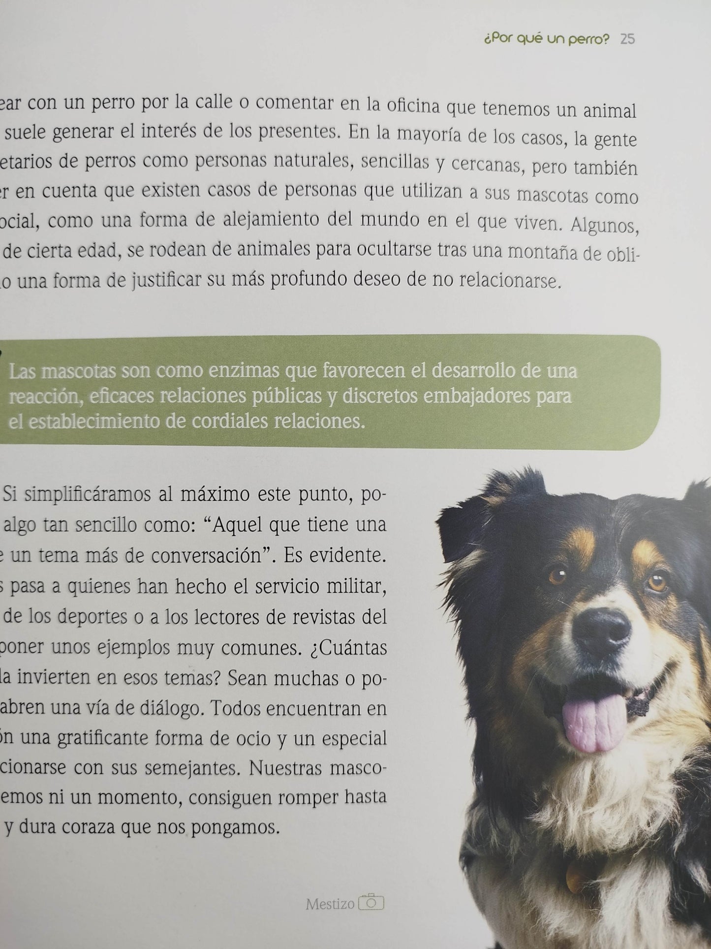 El encantador de perros 5 un perro ¿Qué perro? by Carlos Rodriguez