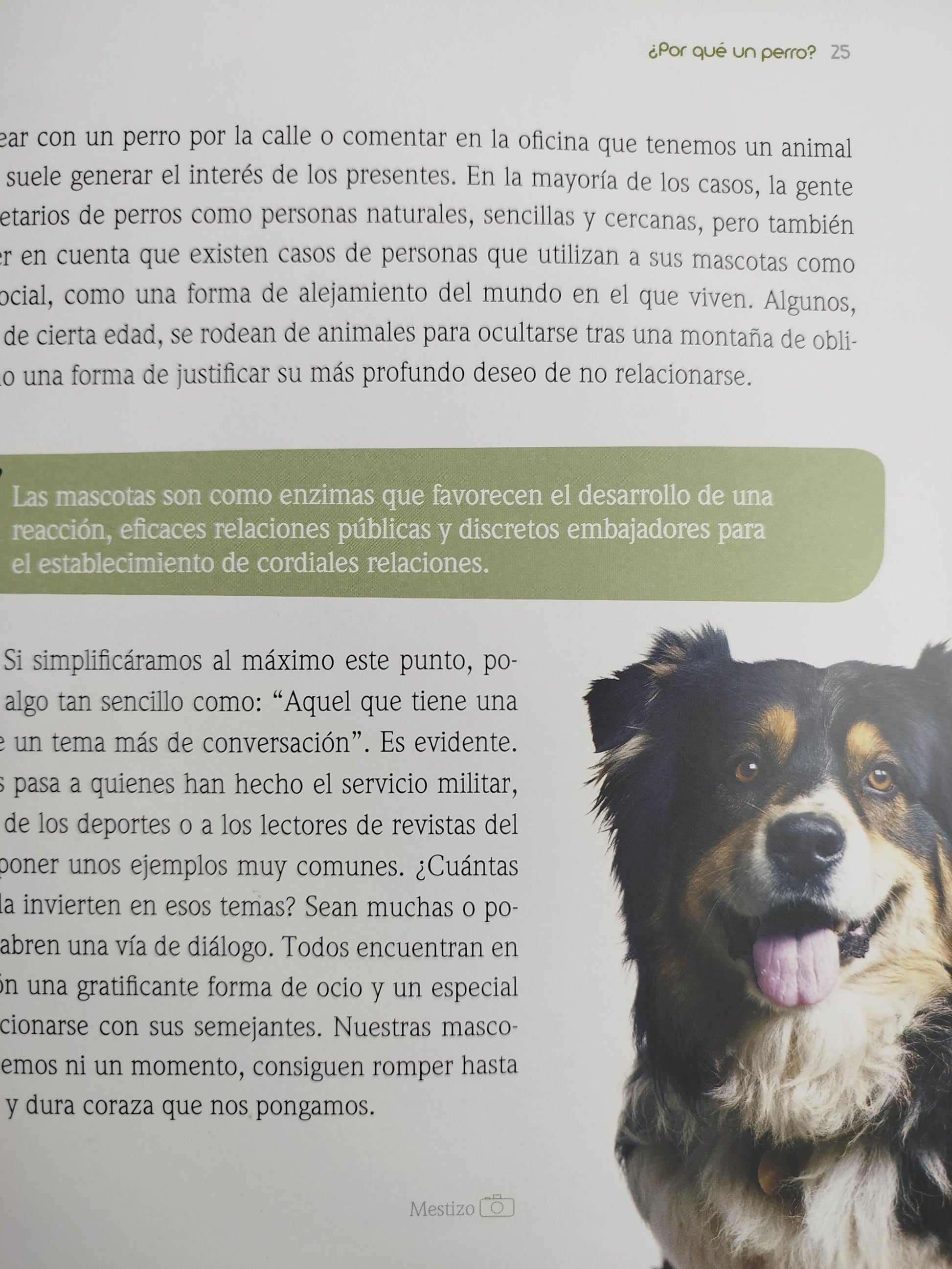 El encantador de perros 5 un perro ¿Qué perro? by Carlos Rodriguez
