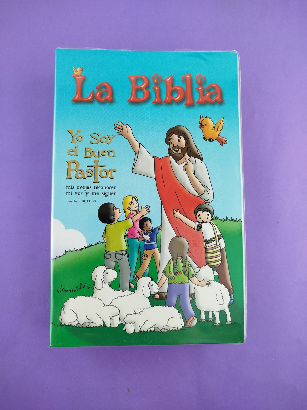 Biblia Dios Habla Hoy Misionera by libreriatroya.com