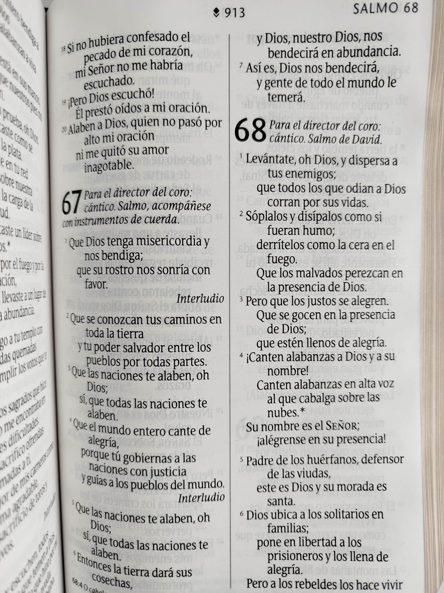 Biblia NTV azul flores letra grande by Nueva Traducción Viviente