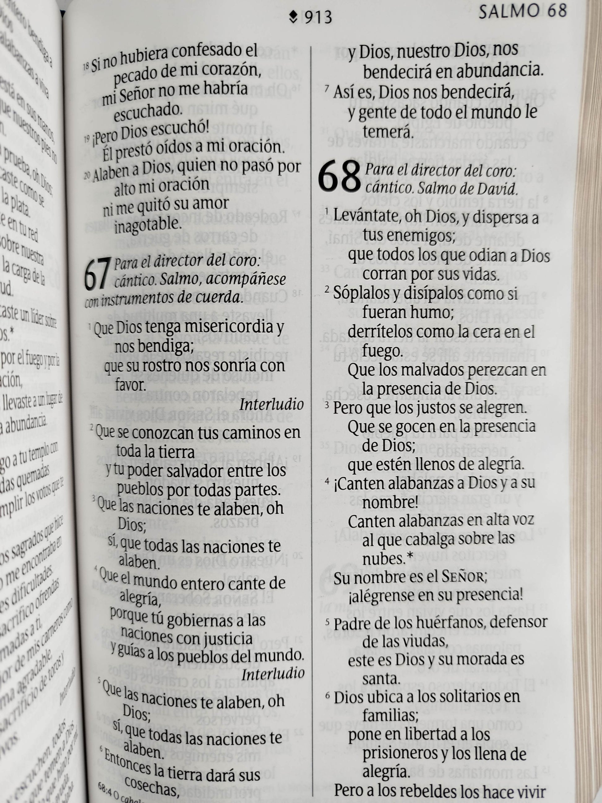Biblia NTV azul flores letra grande by Nueva Traducción Viviente