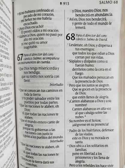 Biblia NTV azul flores letra grande by Nueva Traducción Viviente