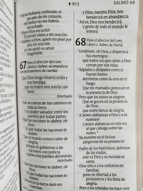 Biblia NTV azul flores letra grande by Nueva Traducción Viviente