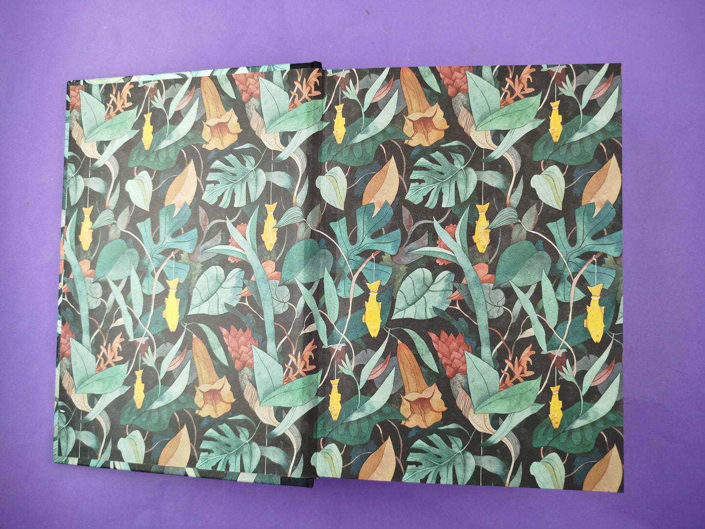 Cien años de soledad Edición ilustrada