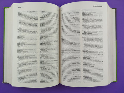 Diccionario Avanzado Italiano