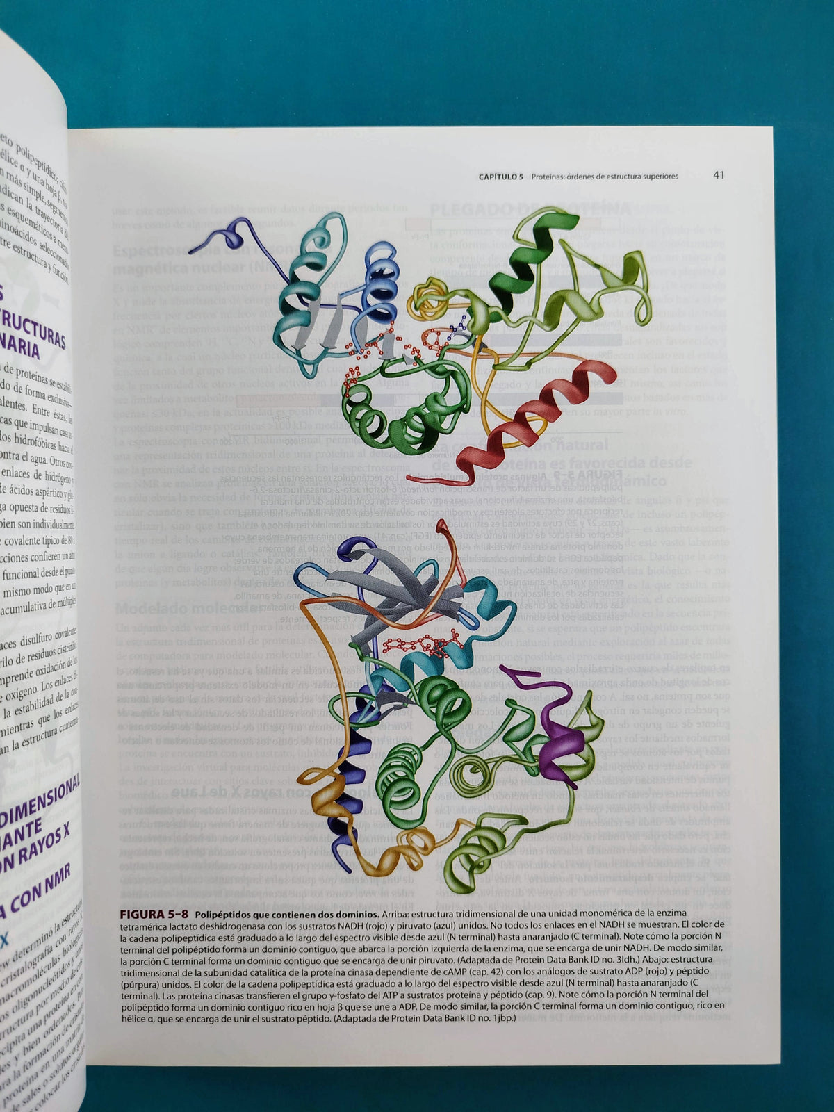 Harper bioquímica ilustrada 29a edición by Murray Bender BOtham Kennelly Rodwell Weil