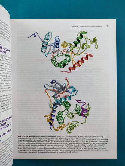Harper bioquímica ilustrada 29a edición