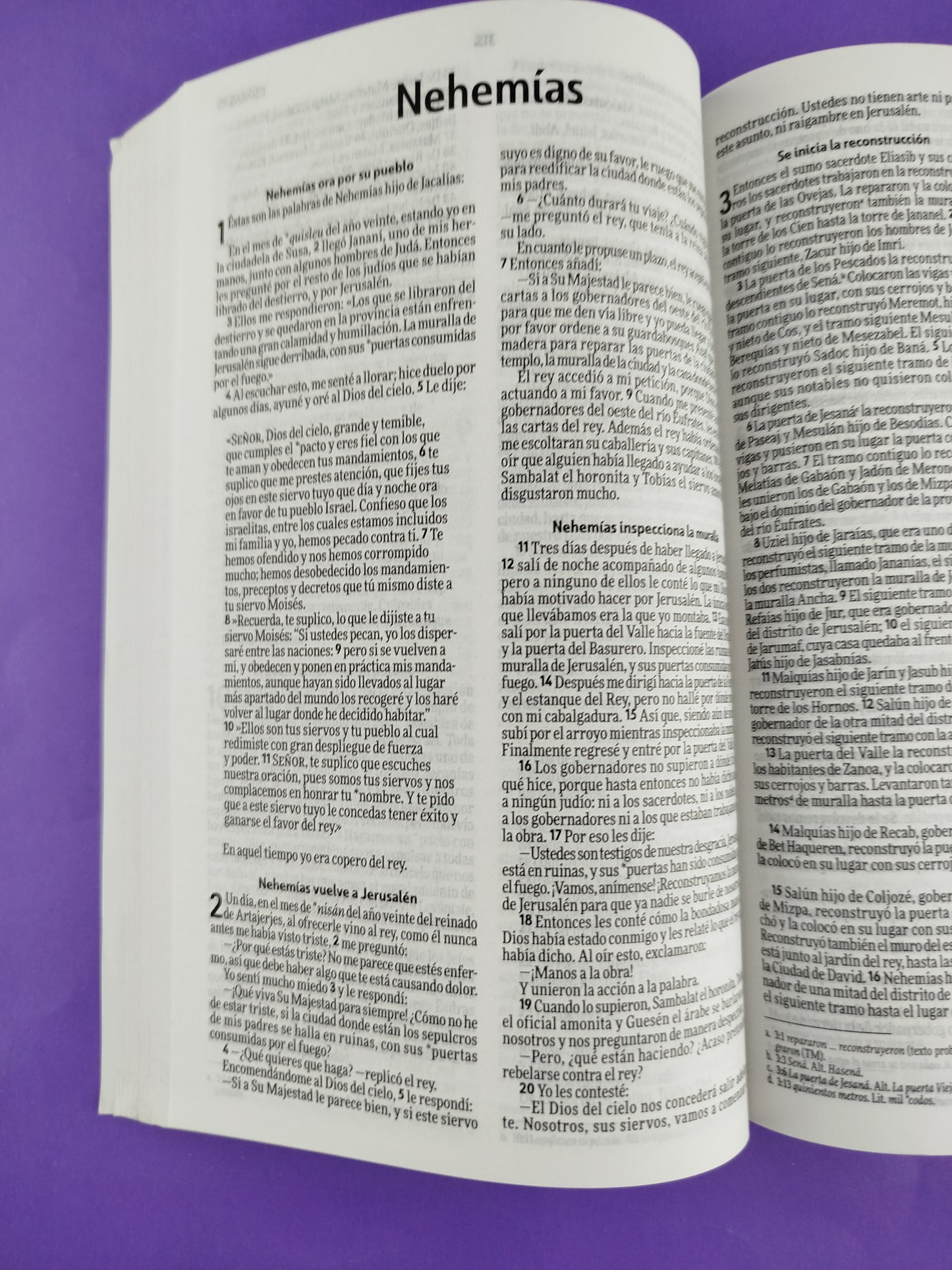 Biblia nvi rustica circulos