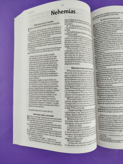 Biblia nvi rustica circulos