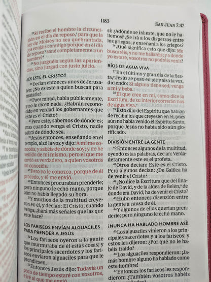 Biblia de la mamá ocupada roja by Varios