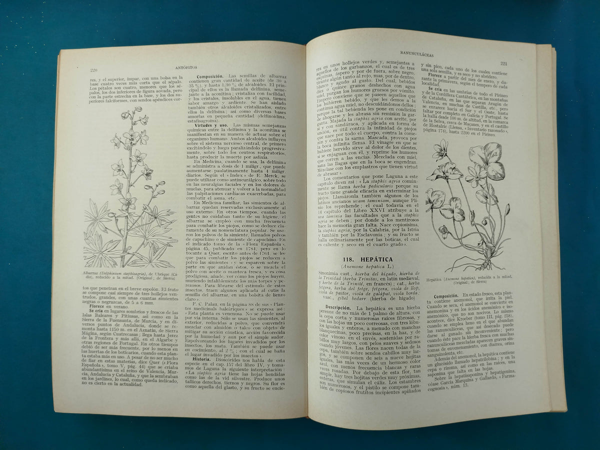 Plantas medicinales el Dioscórides renovado by Pío Font Quer