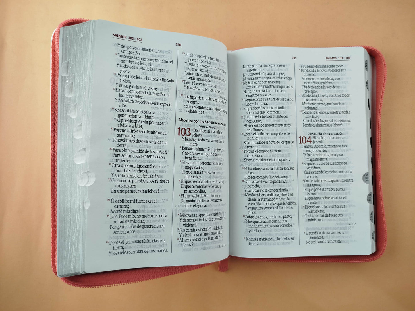 Biblia rvr letra grande salmón blanco borde plateado