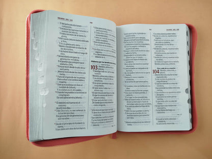 Biblia rvr letra grande salmón blanco borde plateado