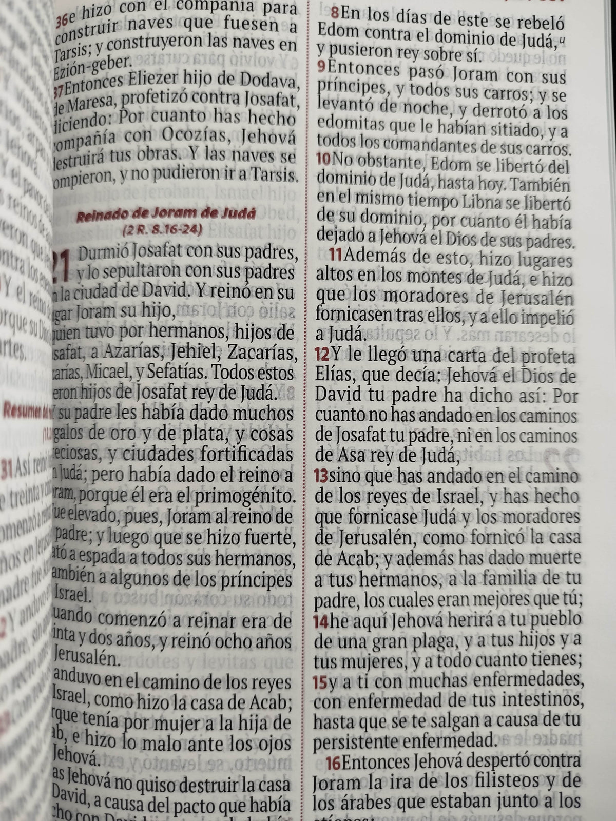 Biblia rvr letra grande azul - verde estampado by Reina Valera 1960