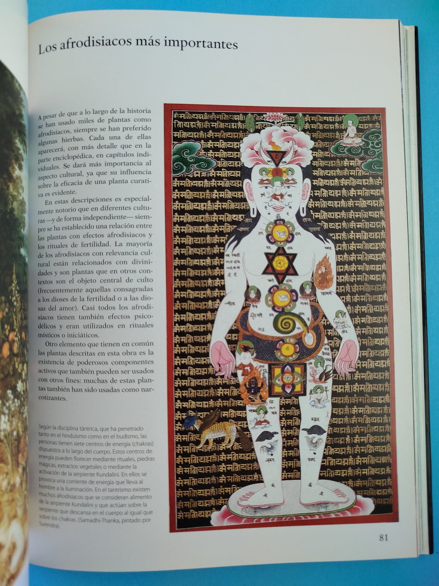 Las plantas del amor