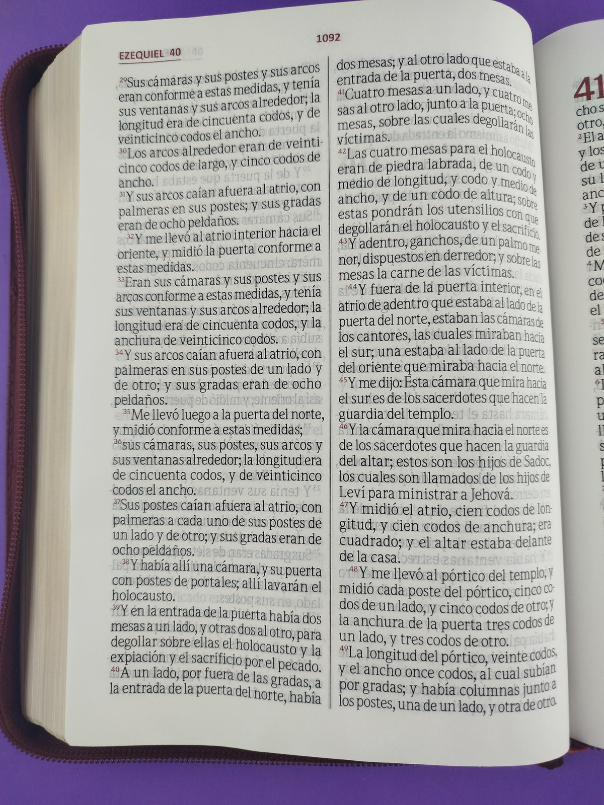 Biblia Letra Gigante Vinotinto Sin Indice by libreriatroya.com