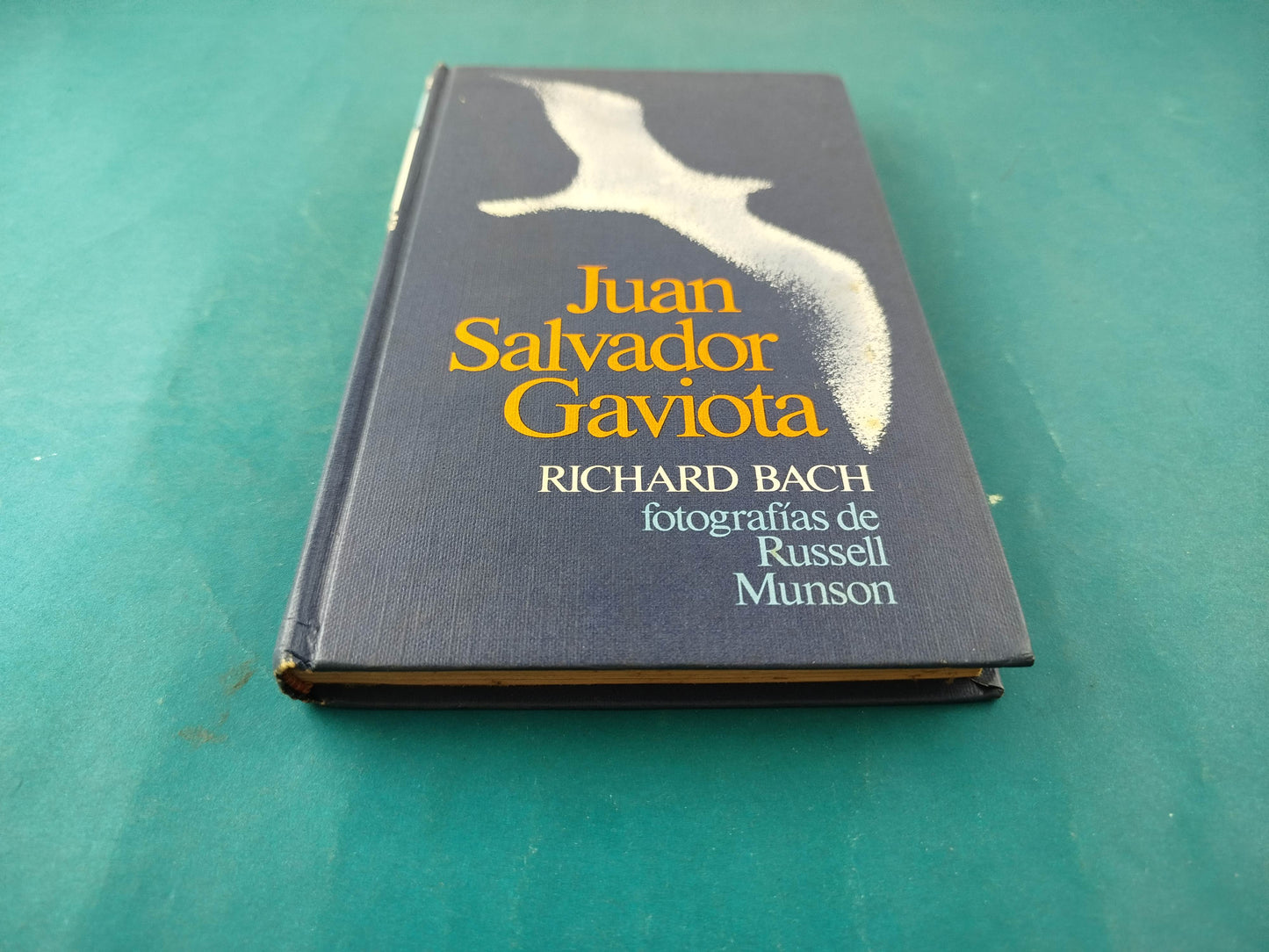 Juan Salvador Gaviota by Richard Bach