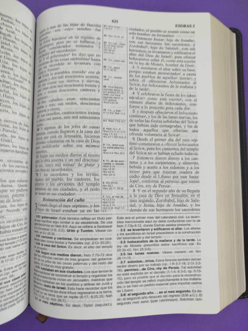 Biblia de estudio de las américas by libreriatroya.com