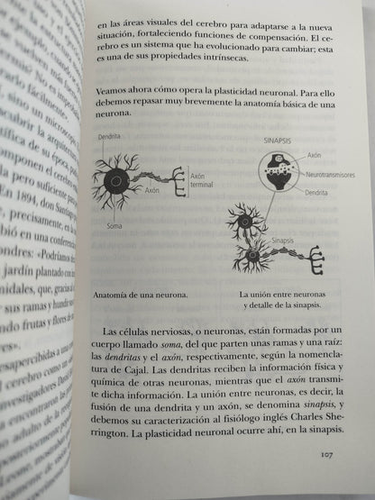 El puente donde habitan las mariposas by nazareth castellanos