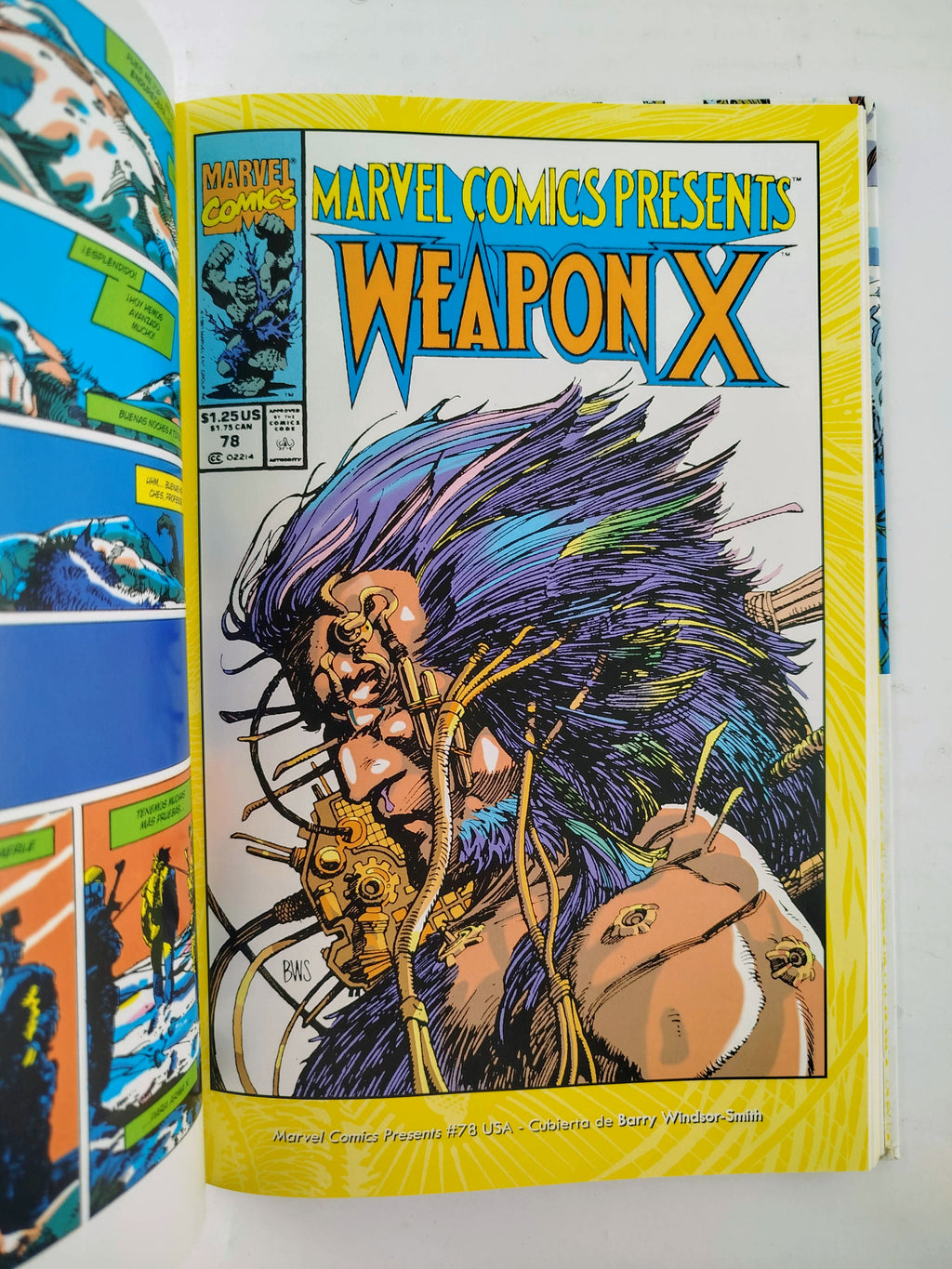 Arma x by Barry Windsor Smith