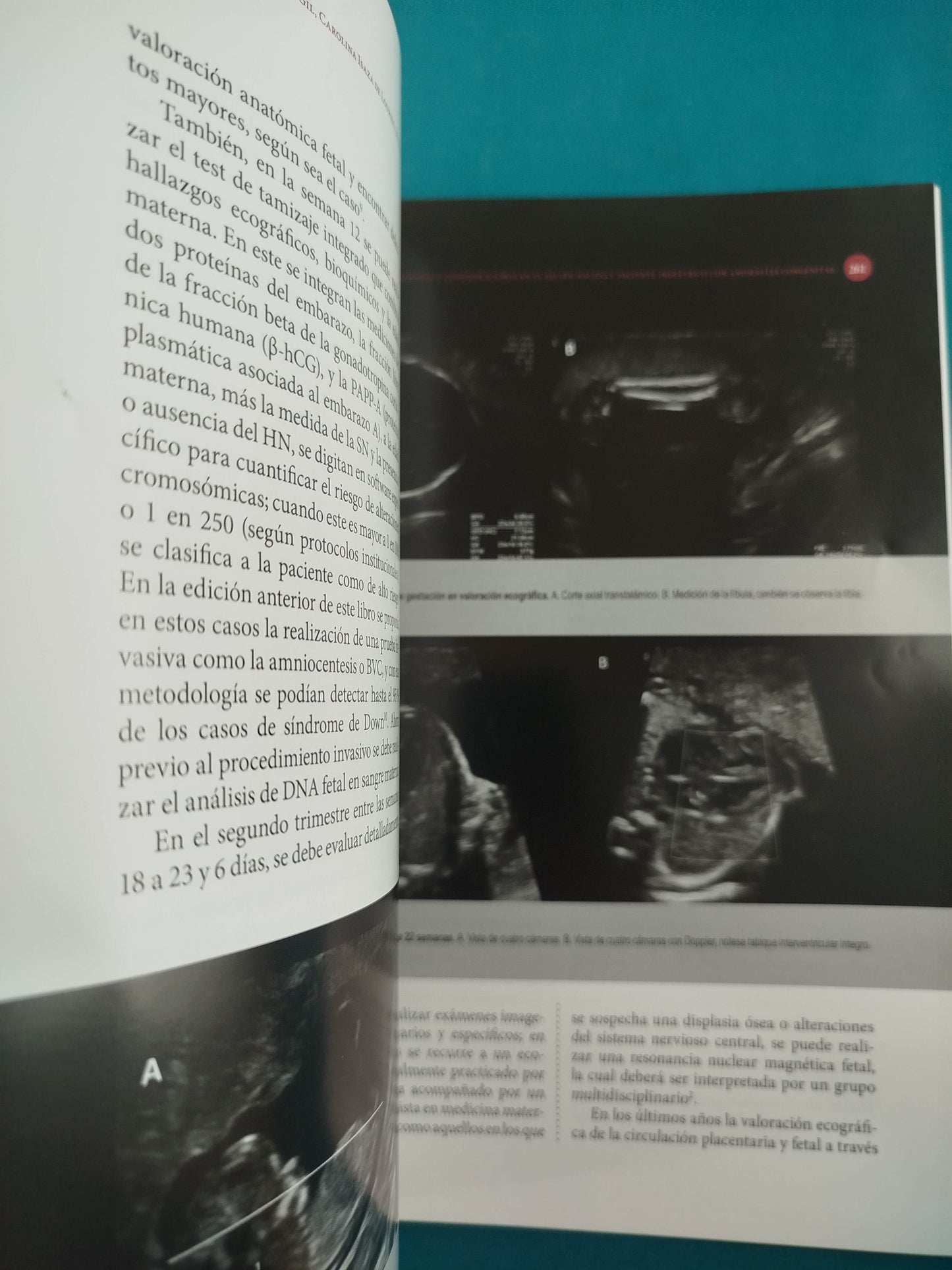 Embriología humana integrada segunda edición