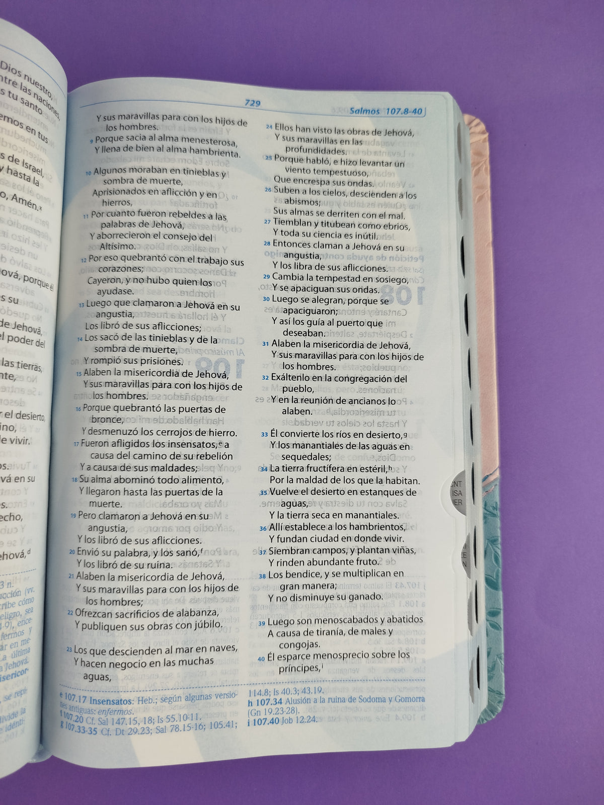 Biblia De Estudio Llamados A La Reconciliacion Azul Rosado by libreriatroya.com