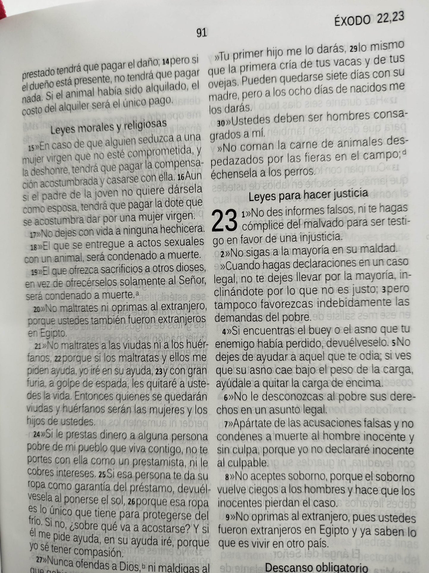 Biblia habla hoy fucsia letra grande by dios habla hoy