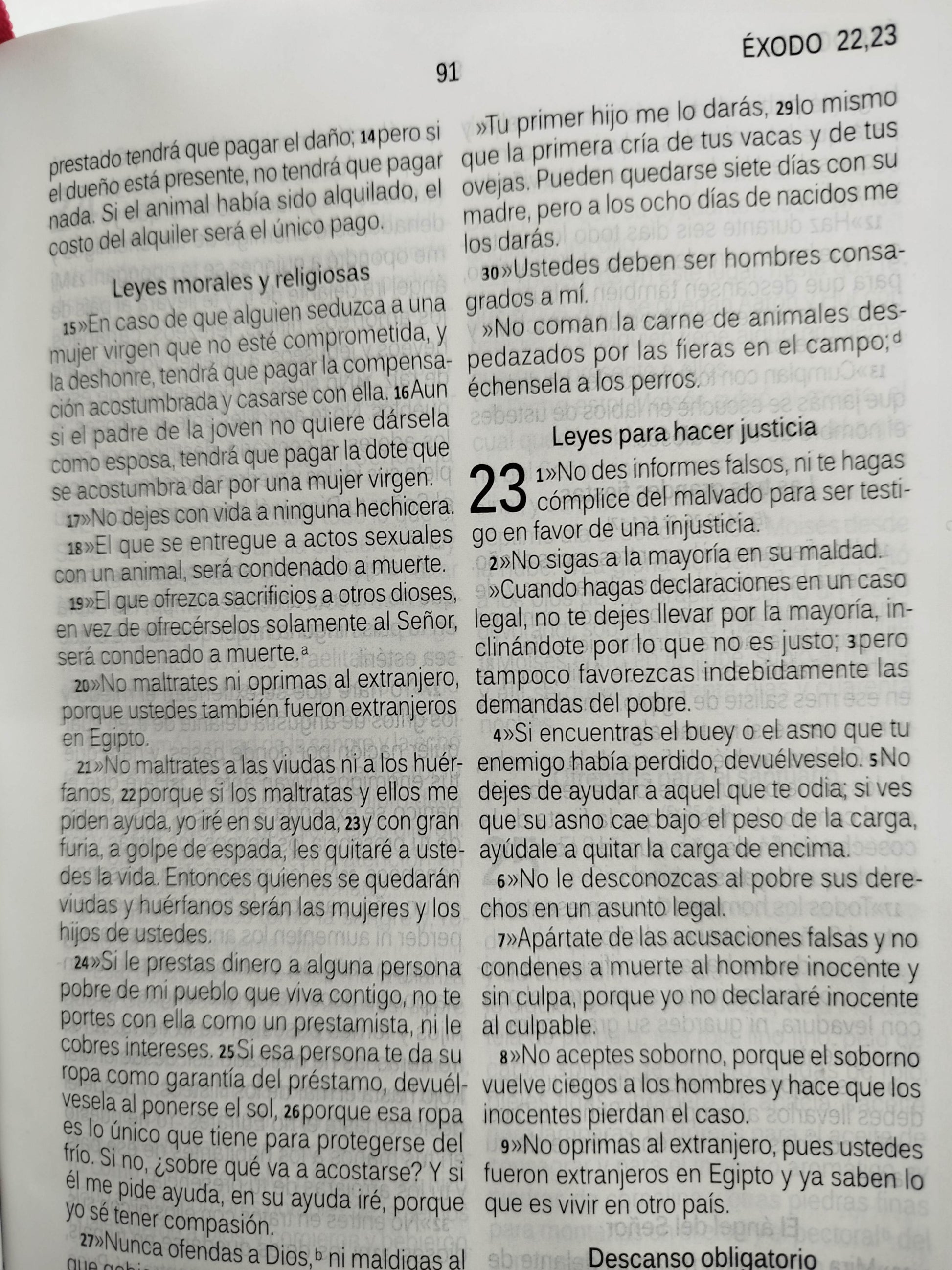 Biblia habla hoy fucsia letra grande by dios habla hoy