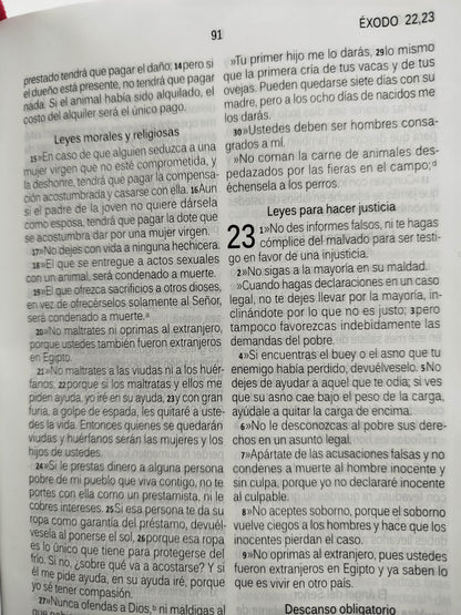 Biblia habla hoy fucsia letra grande by dios habla hoy