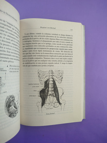 Cómo aprender la técnica Alexander