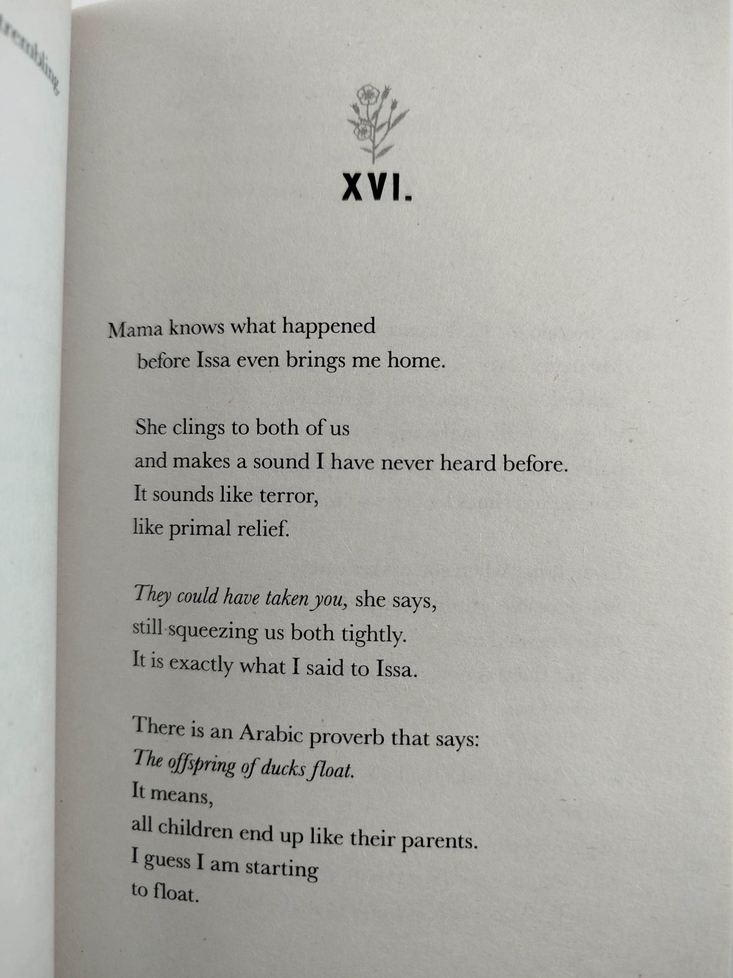 Other words for home by Jasmine Warga