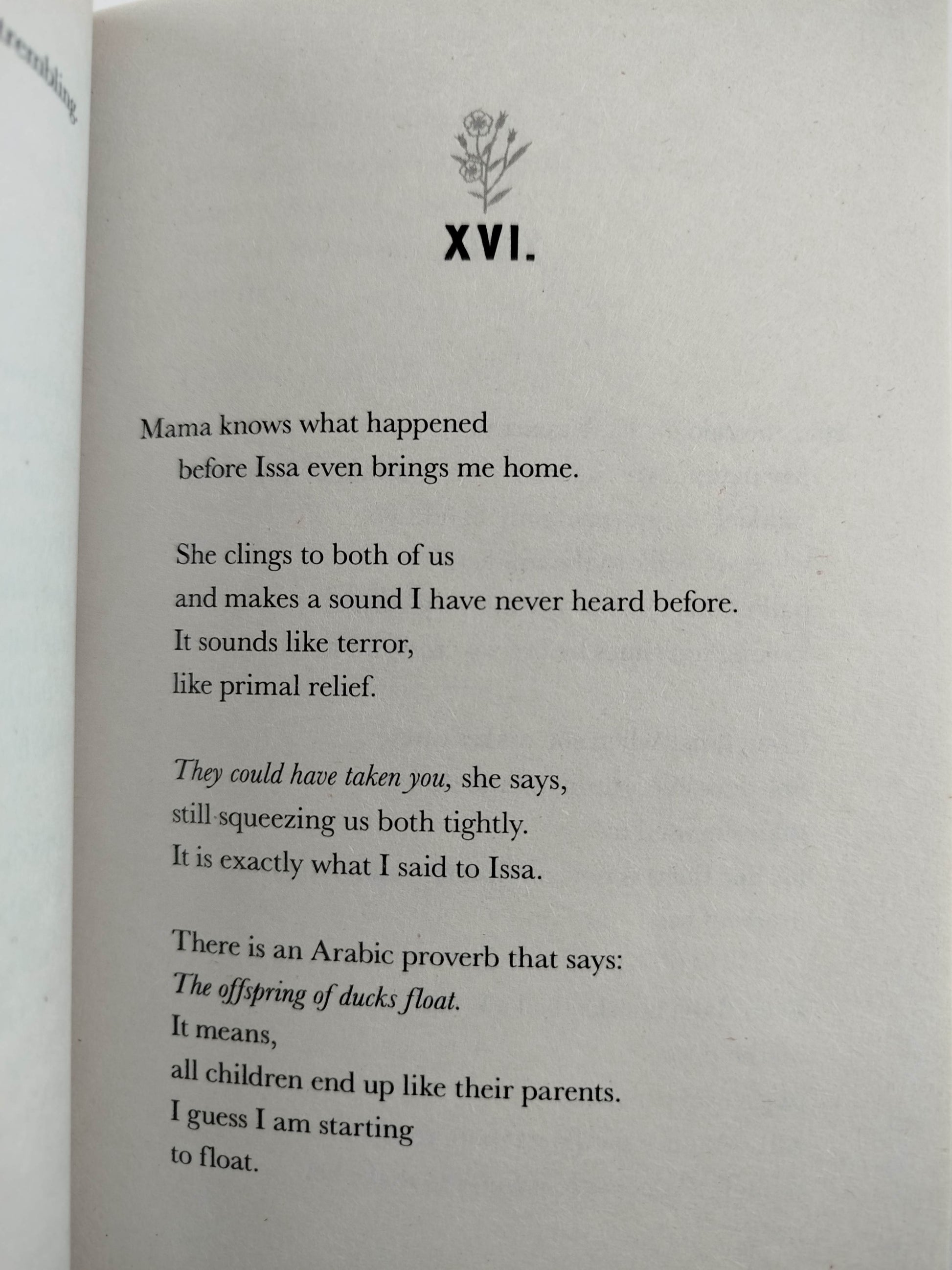 Other words for home by Jasmine Warga
