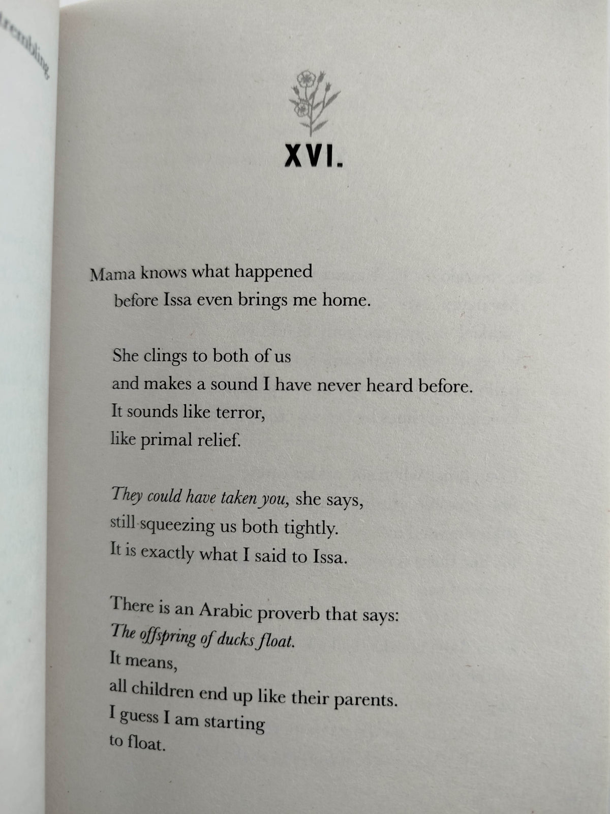 Other words for home by Jasmine Warga