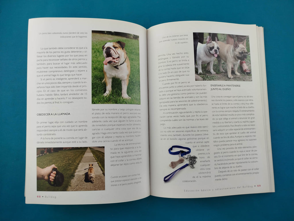 Bulldog Inglés by Varios Autores