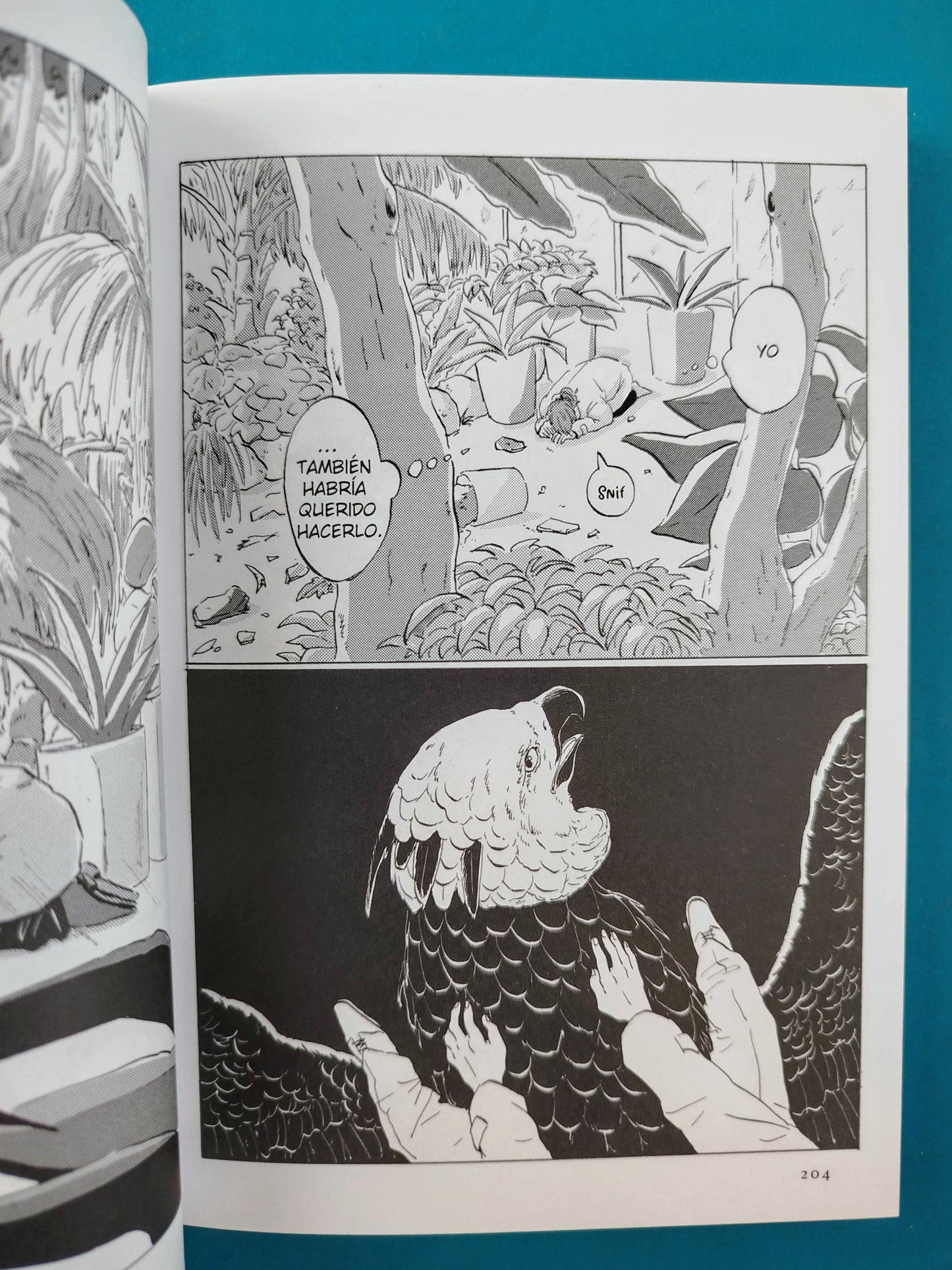 Mil veranos y sueños