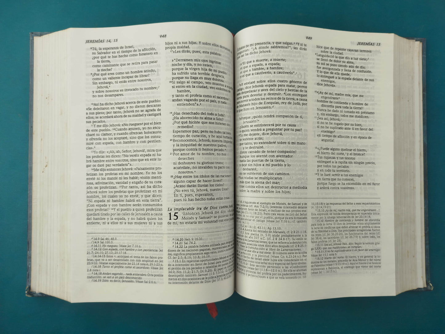 Santa Biblia rvr 1995 ed de estudio