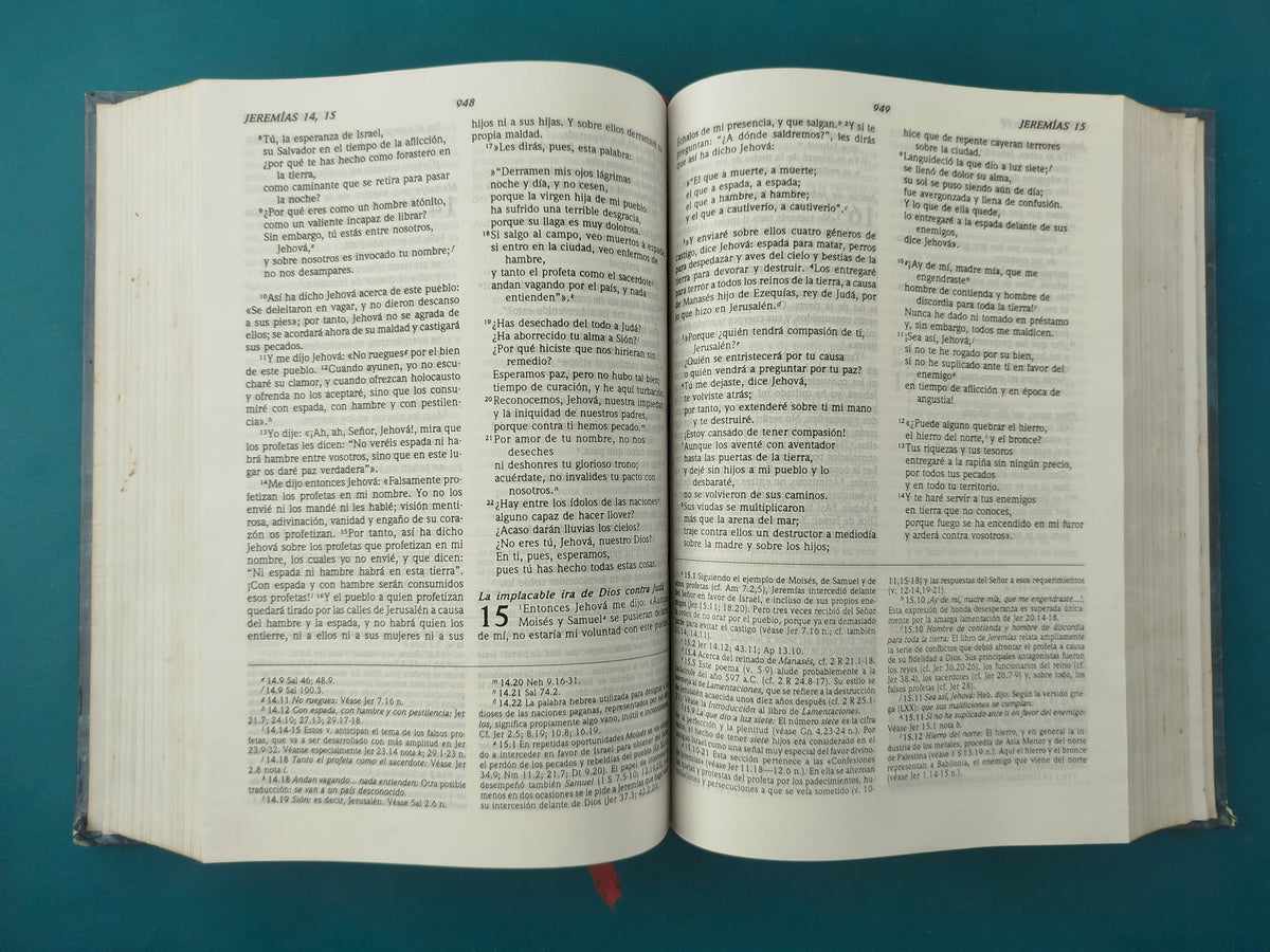 Santa Biblia rvr 1995 ed de estudio by Reina Valera 1960