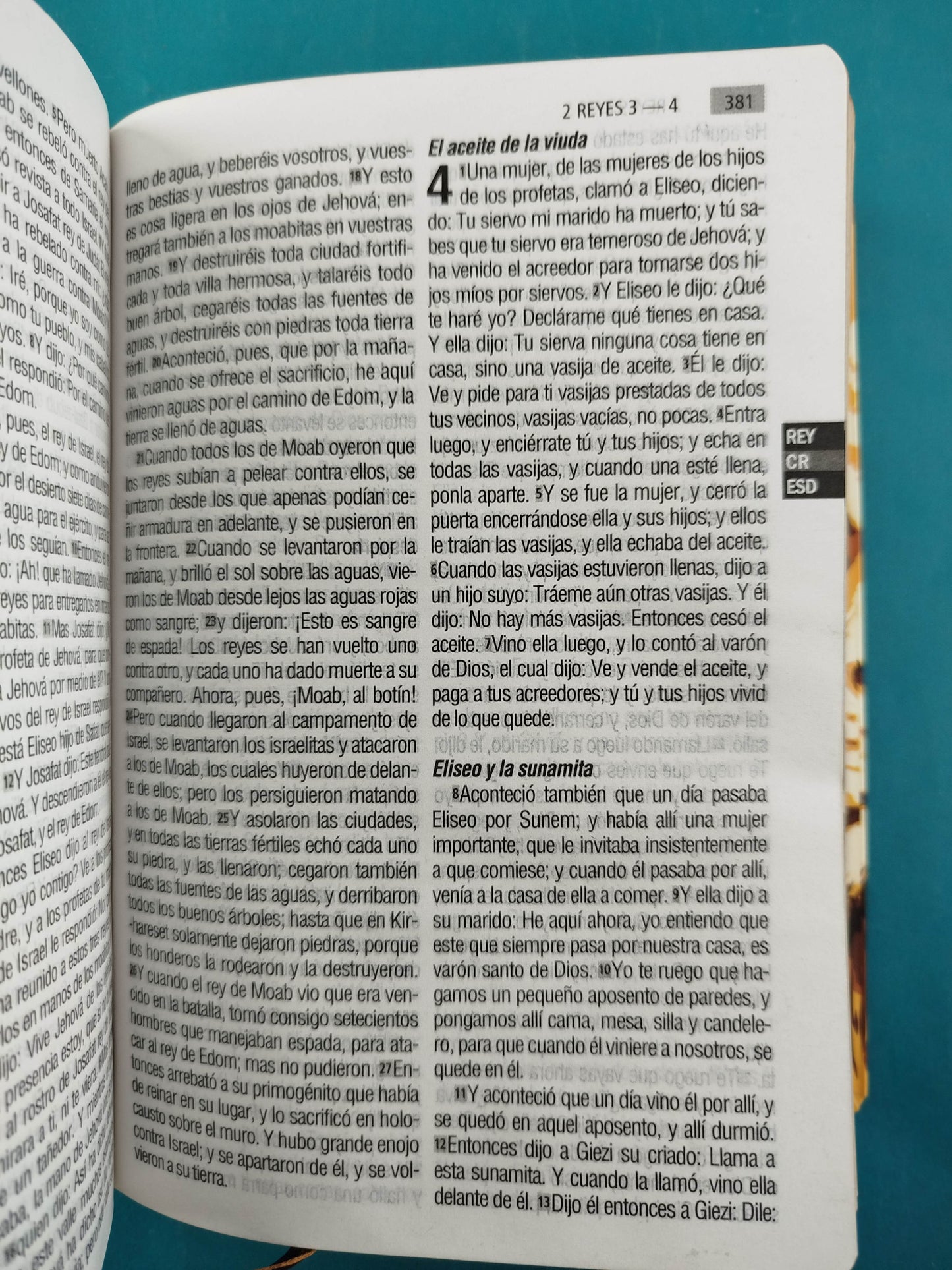 Biblia RVR 1960 Letra Grande leon, tapa flexible, borde dorado, sin cierre