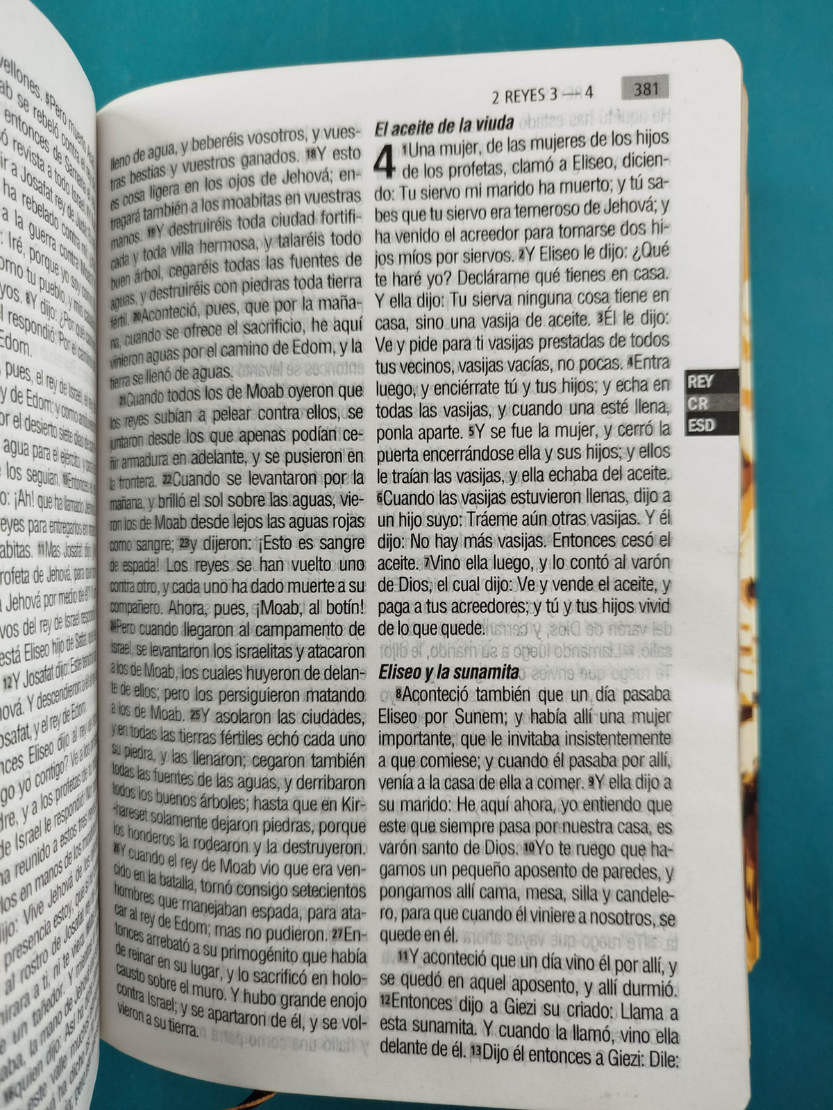 Biblia RVR 1960 Letra Grande leon, tapa flexible, borde dorado, sin cierre by Reina Valera 1960