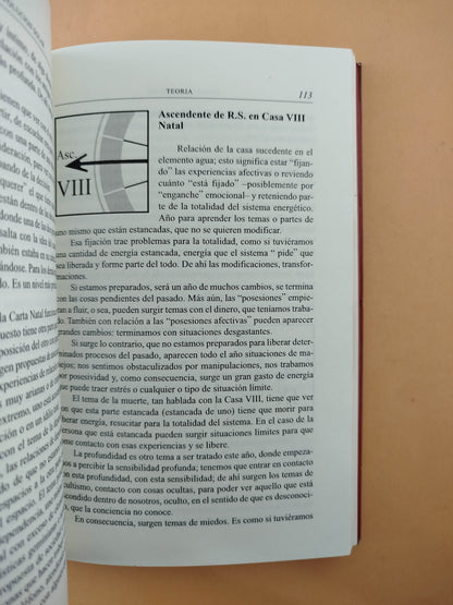 Movimientos Astrológicos Revolucion Solar