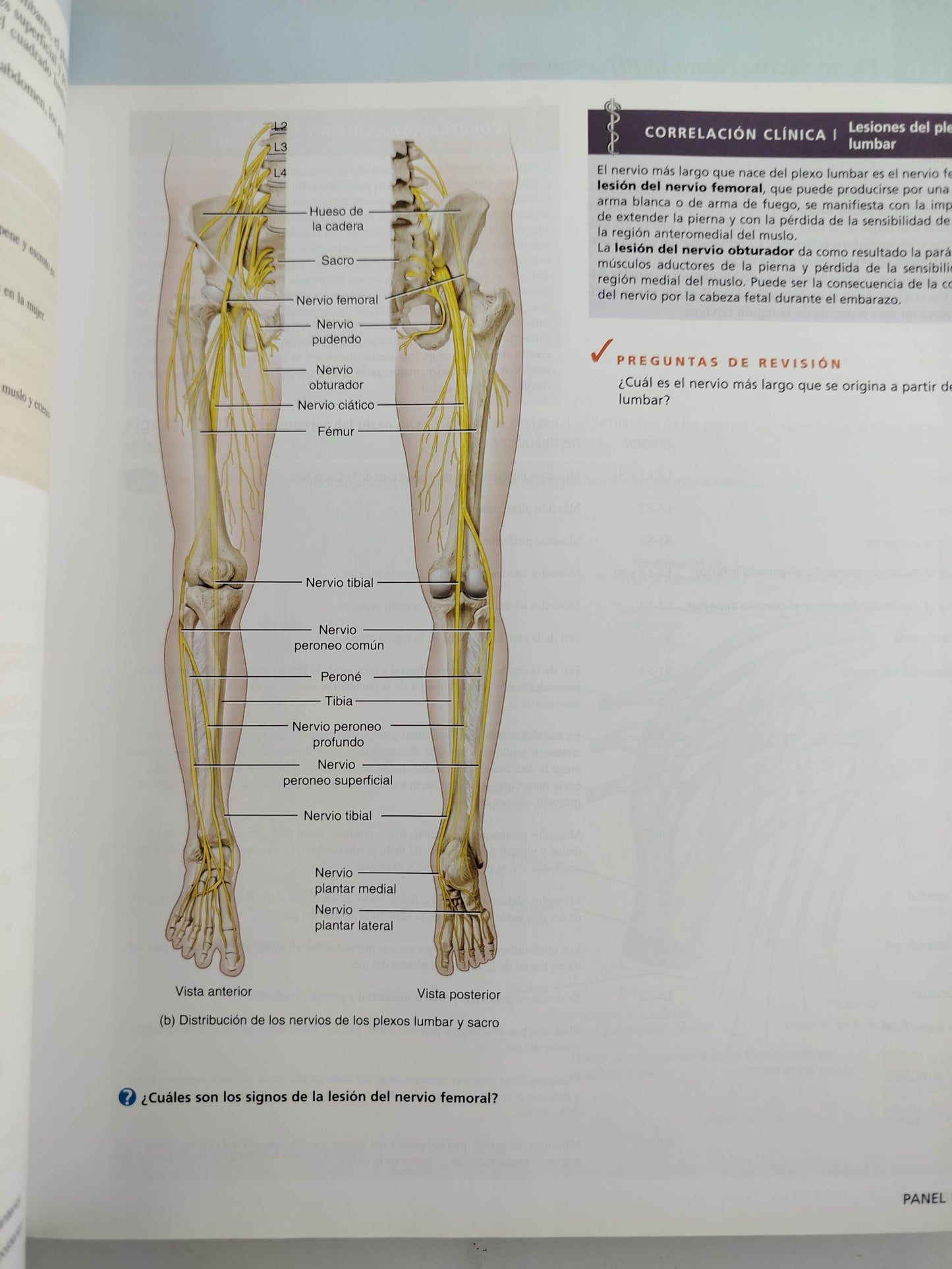 Principios de anatomía y fisiología 13 edición by Gerard J Tortora Bryan Derrickson