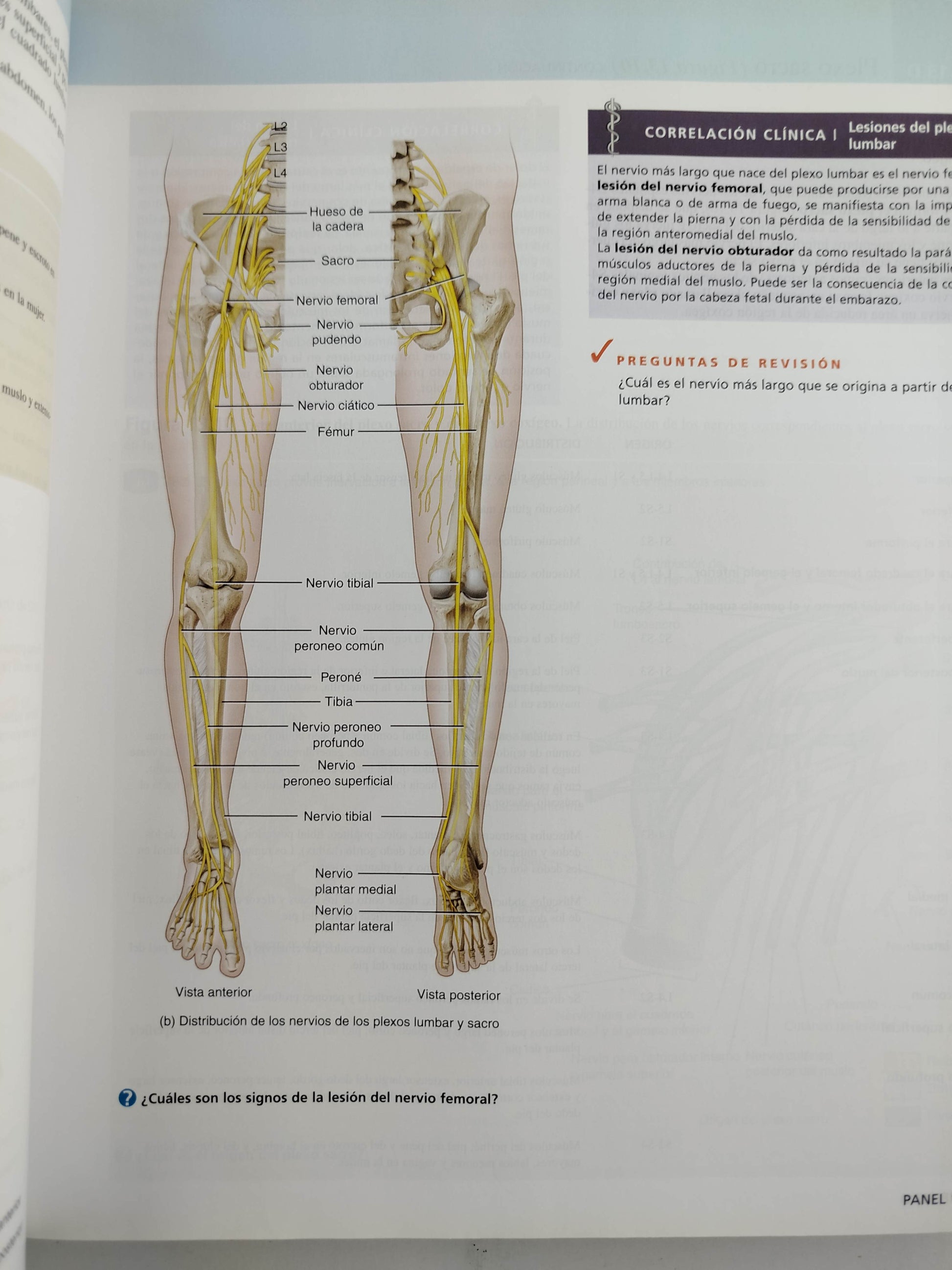 Principios de anatomía y fisiología 13 edición by Gerard J Tortora Bryan Derrickson